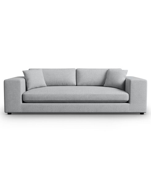 Canapé Tendance 4 Places gris clair - 262x122x72 cm