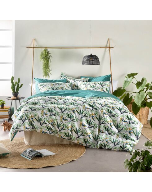 Parure housse de couette percale de coton Salix verte
