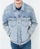 Veste Trucker Sugarcubes bleue