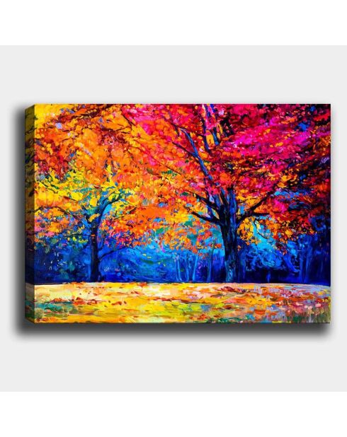 Tableau sur toile décoratif multicolore - 70x100 cm