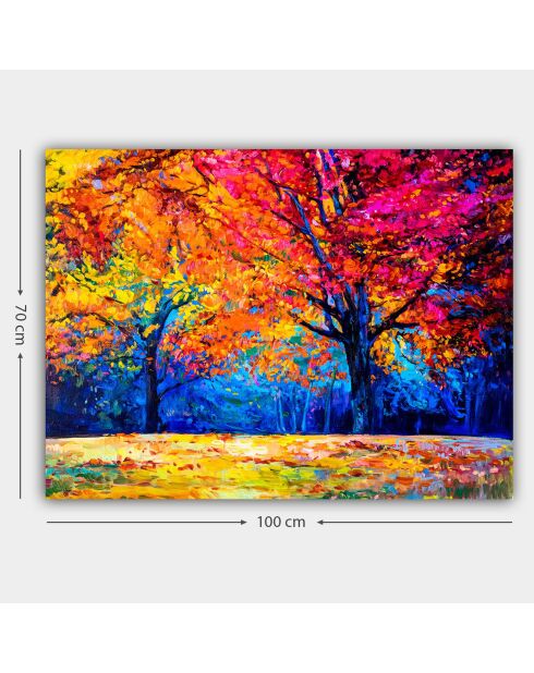 Tableau sur toile décoratif multicolore - 70x100 cm