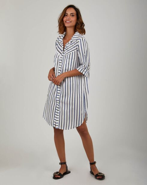 Robe Alice bleue