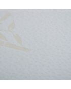 Oreiller à mémoire de forme bio blanc - 40x60 cm