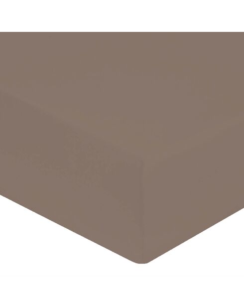 Drap housse 100% Percale de Coton bonnet 40 cm  taupe