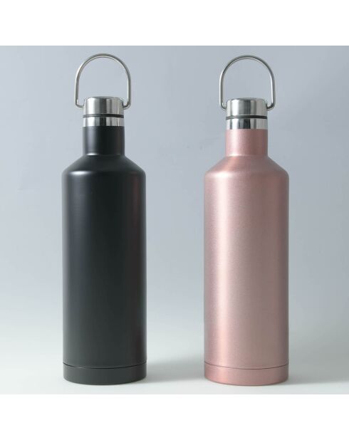 Isolierte schwarze Flasche Traveler - 50 cl