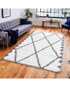 Tapis Payidar blanc/gris
