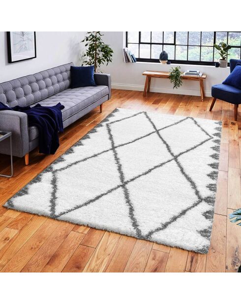 Tapis Payidar blanc/gris