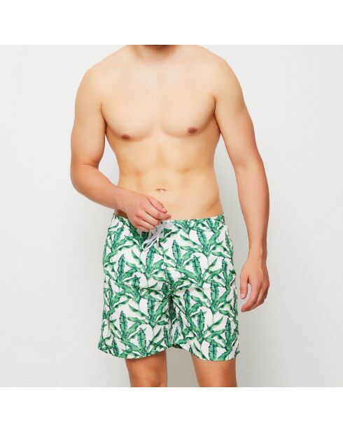Pantaloncini da bagno bianchi e verdi Palm