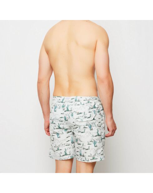 Bañador Saguaro verde/blanco