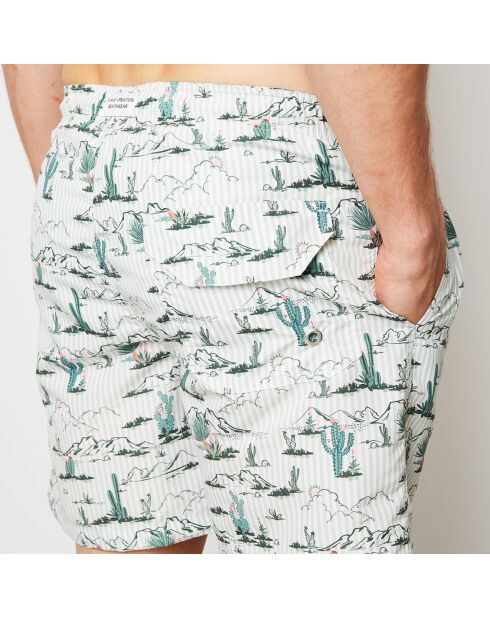 Bañador Saguaro verde/blanco