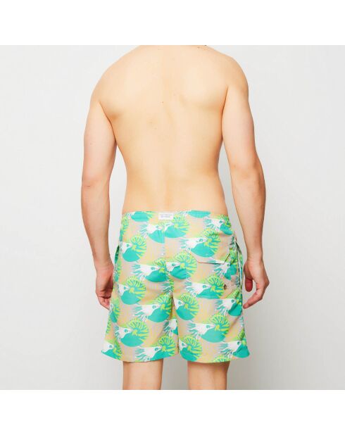 Bañador Nautilus verde/blanco/gris