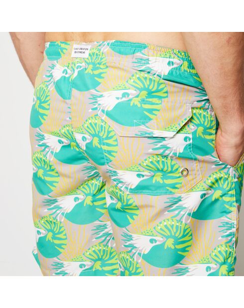 Bañador Nautilus verde/blanco/gris