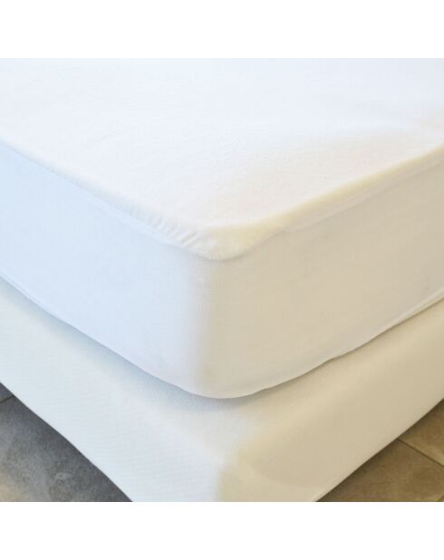 Protège-matelas Absorbant Sanitized blanc