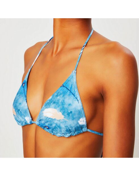 Colyn Feather blauer 2-teiliger Badeanzug