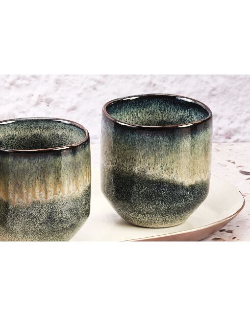6 Tasses Genesis bleu/gris kaki - 15 cl