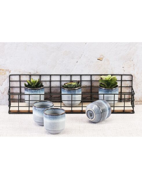 6 Tasses Genesis bleus - 15 cl