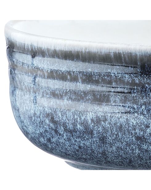6 Bols Cosmos bleu/blanc nacré - D.15.5 cm