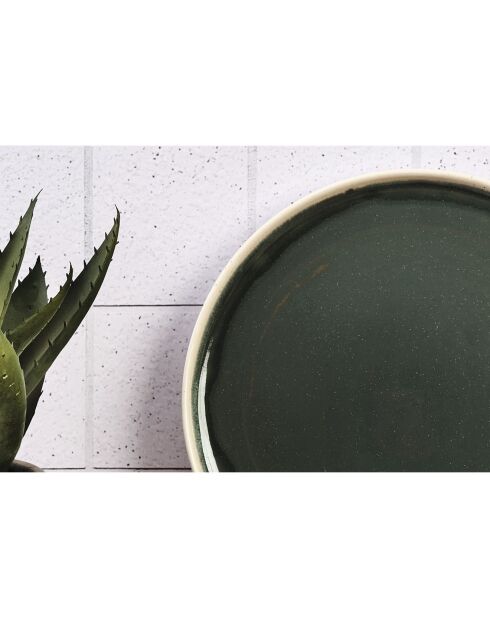 6 Assiettes Oxygen gris/vert bouteille/beige - D.27 cm