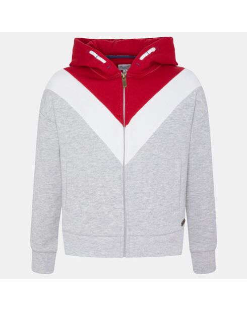 Sweat zippé en Coton à capuche gris