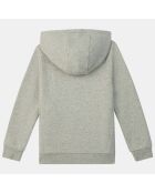 Sweat zippé à capuche gris clair