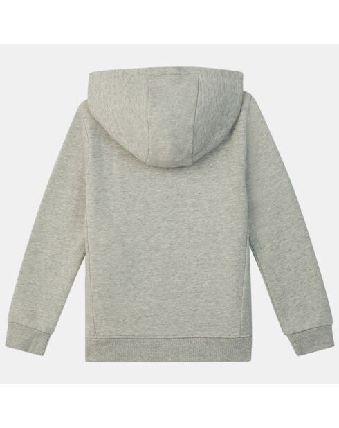 Sweat zippé à capuche gris clair
