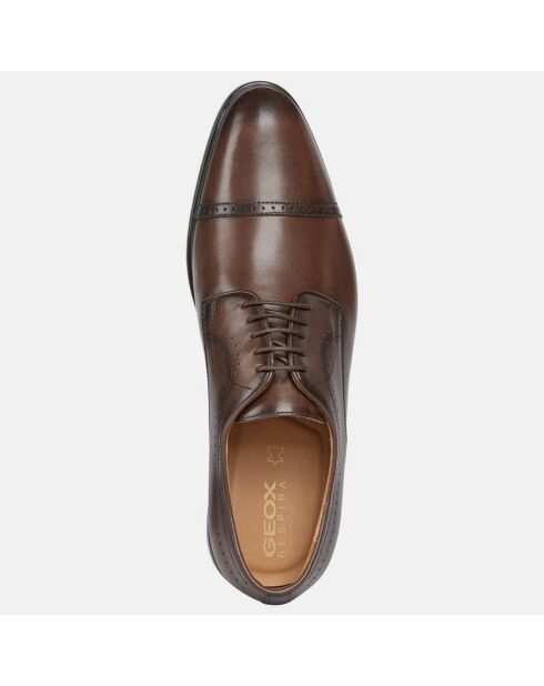 Derbies en Cuir Iacopo marron