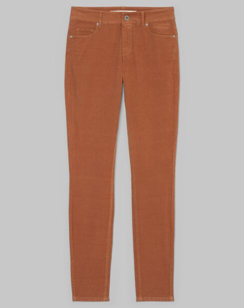Pantalon en Velours Albi Milleraies marron
