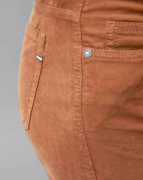 Pantalon en Velours Albi Milleraies marron