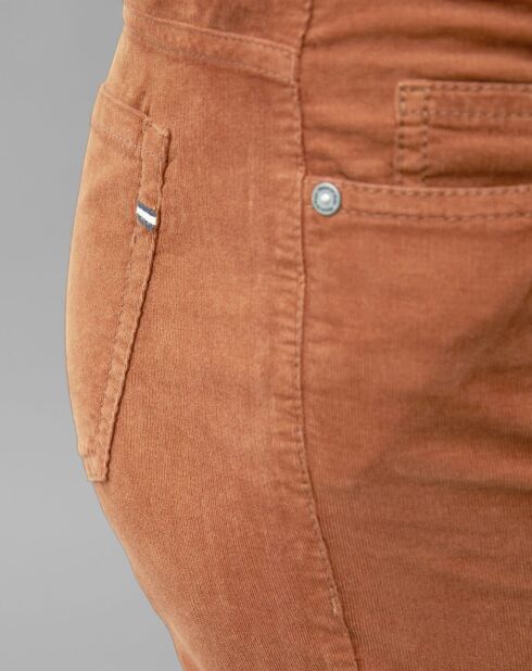 Pantalon en Velours Albi Milleraies marron