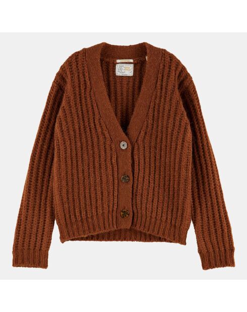 Cardigan en Laine et Alpaga mélangés marron