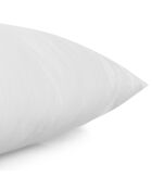 Oreiller Coton 700gr blanc - 60x60 cm