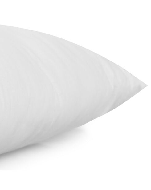 Oreiller Coton 700gr blanc - 60x60 cm