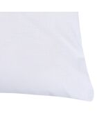 Oreiller Coton 800gr blanc - 60x60 cm