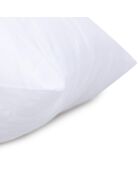 Oreiller Coton 800gr blanc - 60x60 cm