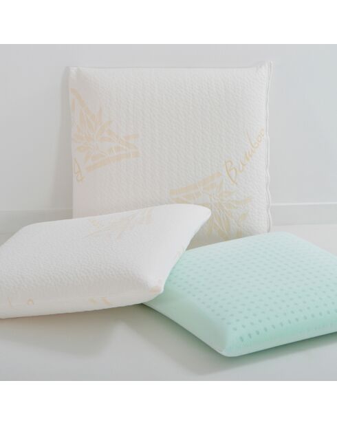 4 Oreillers à Mémoire de forme BIO blancs - 60x60 cm