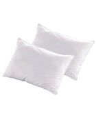 2 Oreillers Alaska à Fibres creuses polyester blancs - 50x70 cm
