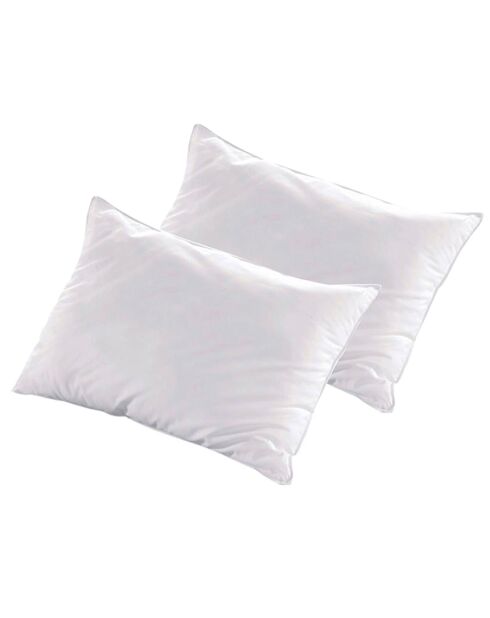 2 Oreillers Alaska à Fibres creuses polyester blancs - 50x70 cm