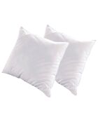 2 Oreillers Alaska à Fibres creuses polyester blancs - 65x65 cm