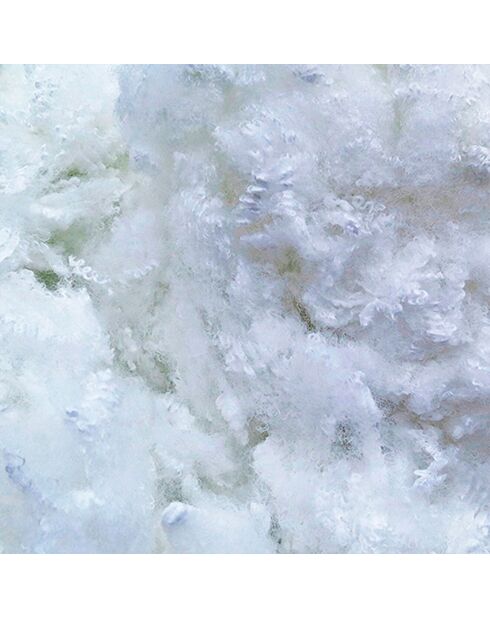 2 Oreillers Alaska à Fibres creuses polyester blancs - 60x60 cm