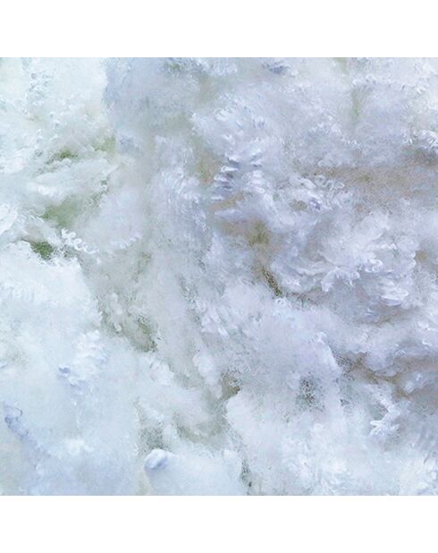 4 Oreillers Alaska à Fibres creuses polyester blancs - 60x60 cm