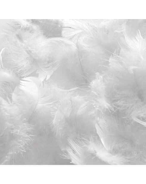 4 Oreillers Natura à Duvet & Plumes blancs - 65x65 cm