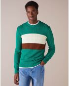 Pull Norter vert/écru/marron