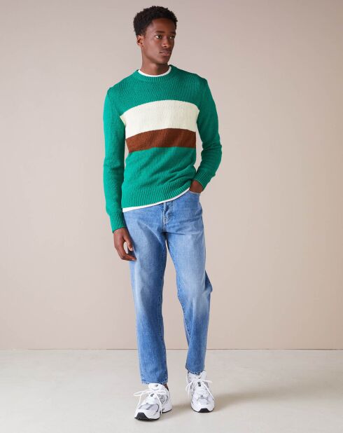 Pull Norter vert/écru/marron