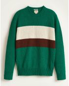 Pull Norter vert/écru/marron