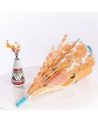 Ombrello Bell - Apertura automatica - Cane beige