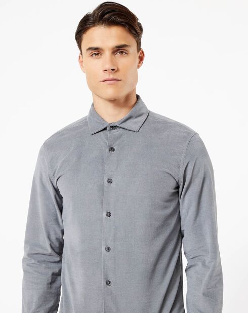 Chemise Alpha Spread Collar Velours grise
