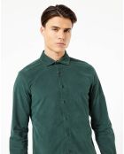 Chemise Alpha Spread Collar Velours vert foncé