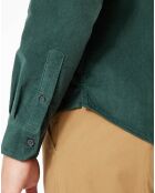 Chemise Alpha Spread Collar Velours vert foncé