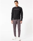 Pantalon jogging Smart Supreme Flex gris