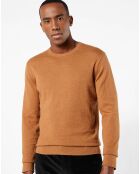 Sweat Cashmere Blend Crewneck beige foncé